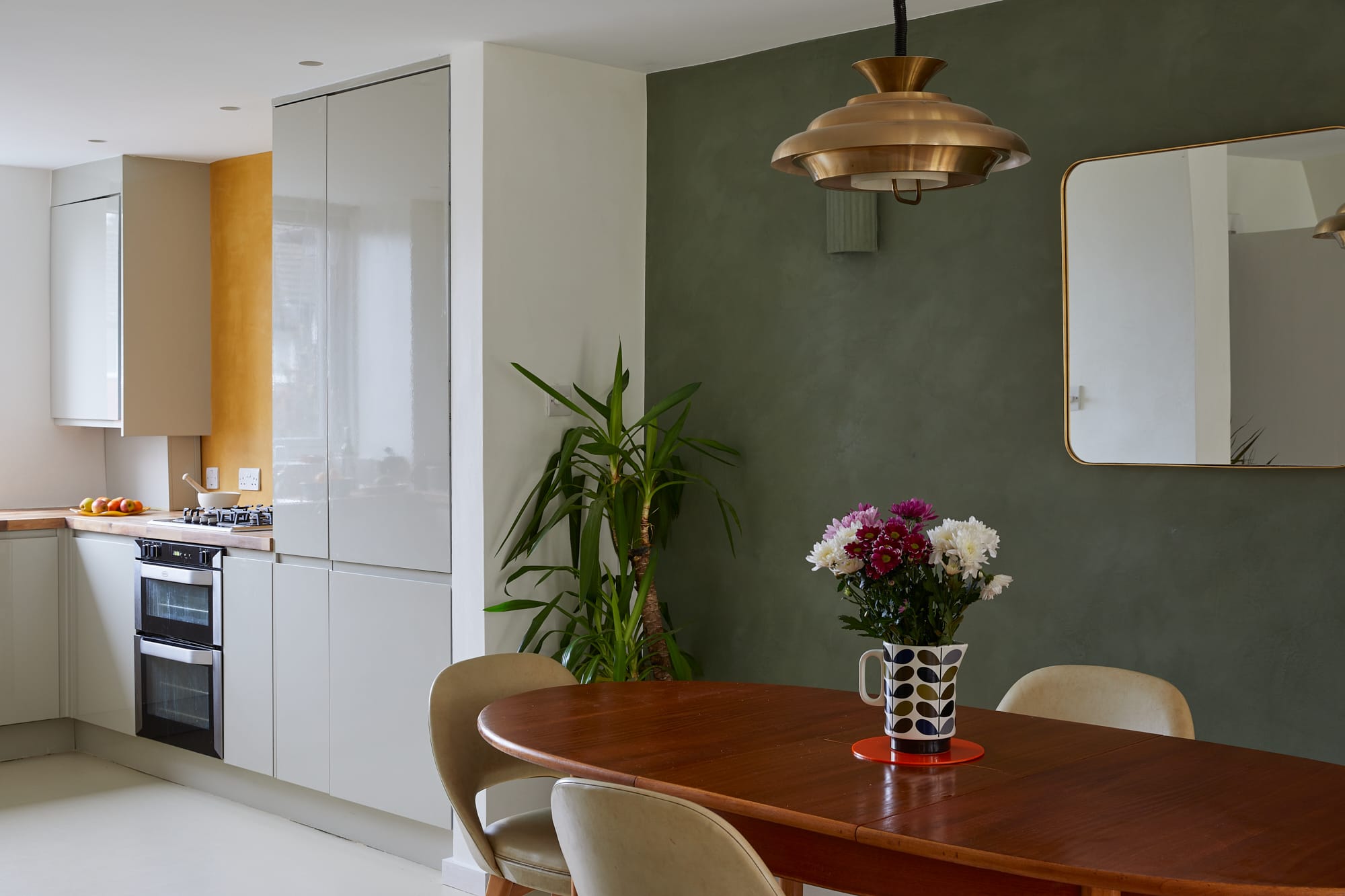 sage green venetian plaster feature wall in kitchen area